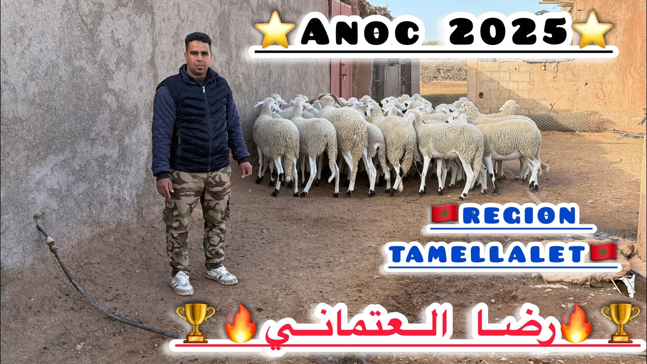 📸حصريا أكتر 20:00 دقيقة 🐏🕕من المتعة مع الكساب رضا العتماني 🔥🏆مفاجآت كثيرة تنتظركم فرجة ممتعة