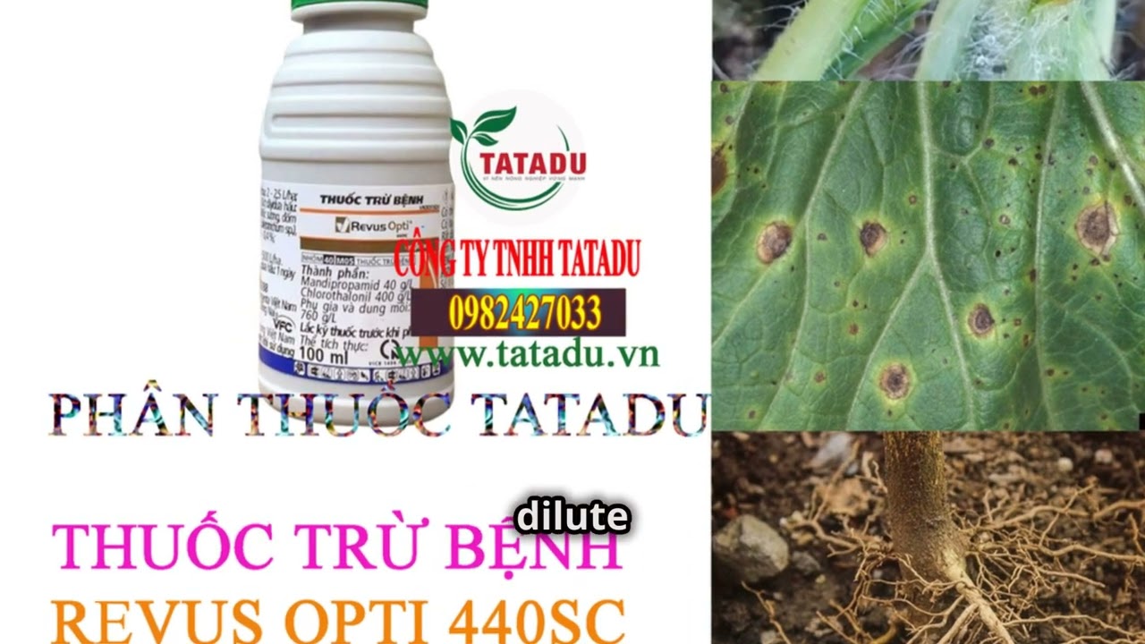 REVUS OPTI 440SC &ndash; THUỐC TRỪ BỆNH TH&Aacute;N THƯ, MỐC SƯƠNG...hotline:0919817033 #thanthu #sươngmai