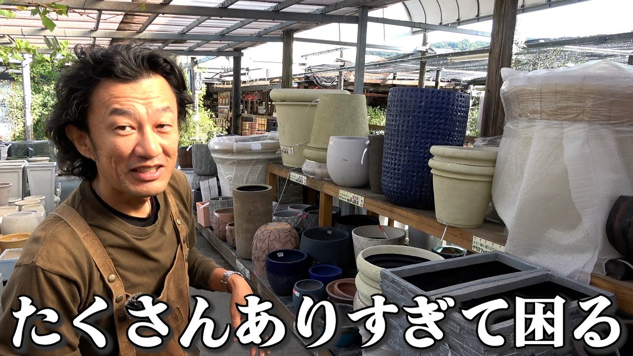 【新商品入荷】最新の鉢から定番鉢まで全て見せます【カーメン君】【園芸】【ガーデニング】