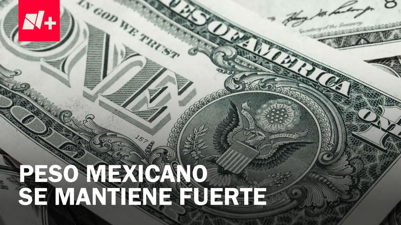 Precio del d&oacute;lar hoy 19 de enero de 2026: Fortaleza en la moneda mexicana - Despierta
