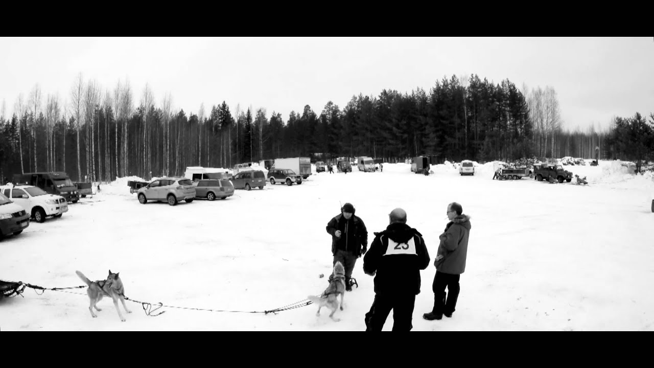 Ruunaa Race 2016 - MD Sleddog Race