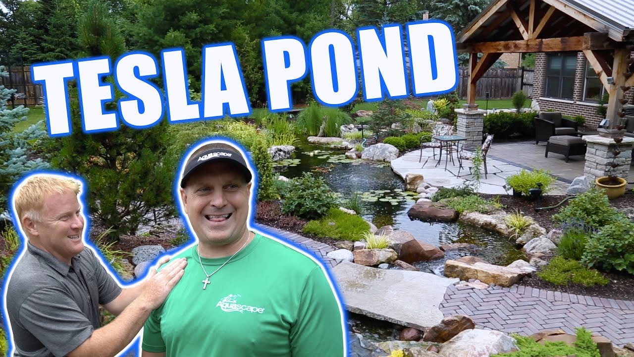 TESLA Backyard Pond and Waterfall