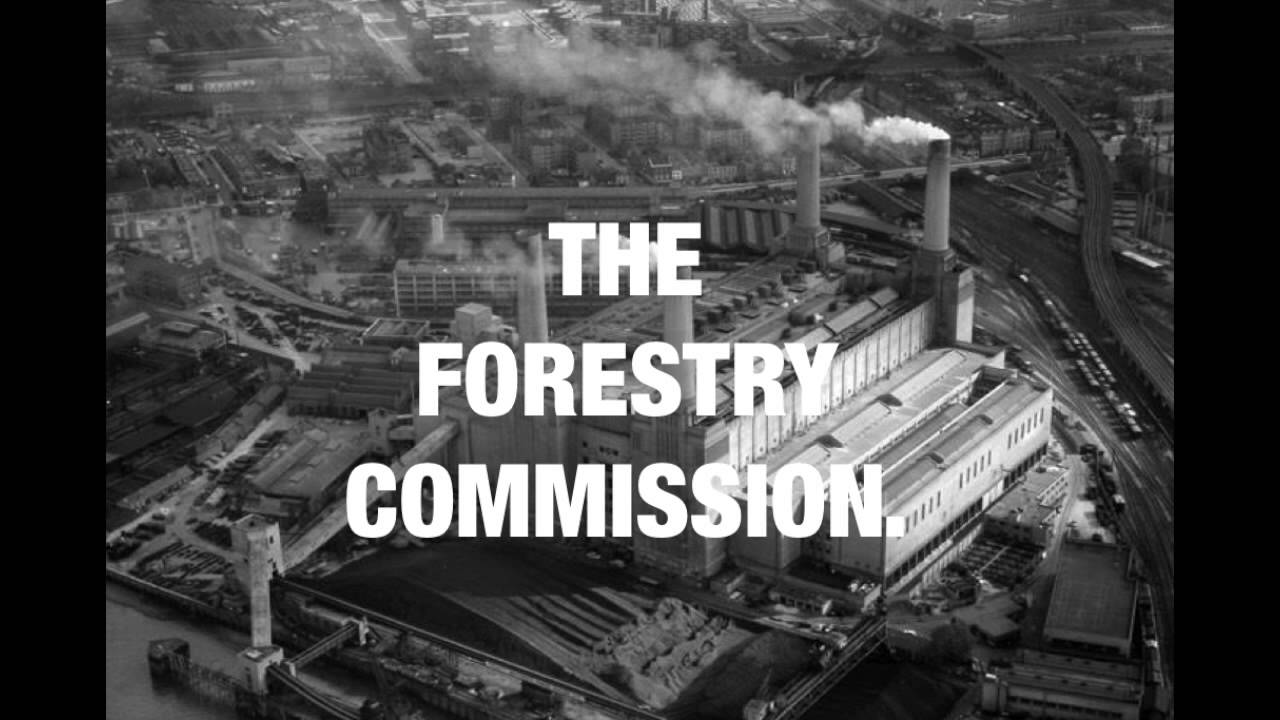The Forestry Commission - 'Wait'