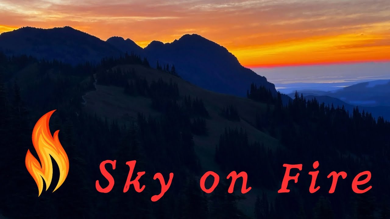 Sunrise🔥 Hike at Hurricane Ridge, Olympic National Park #hiking #nature #mountains