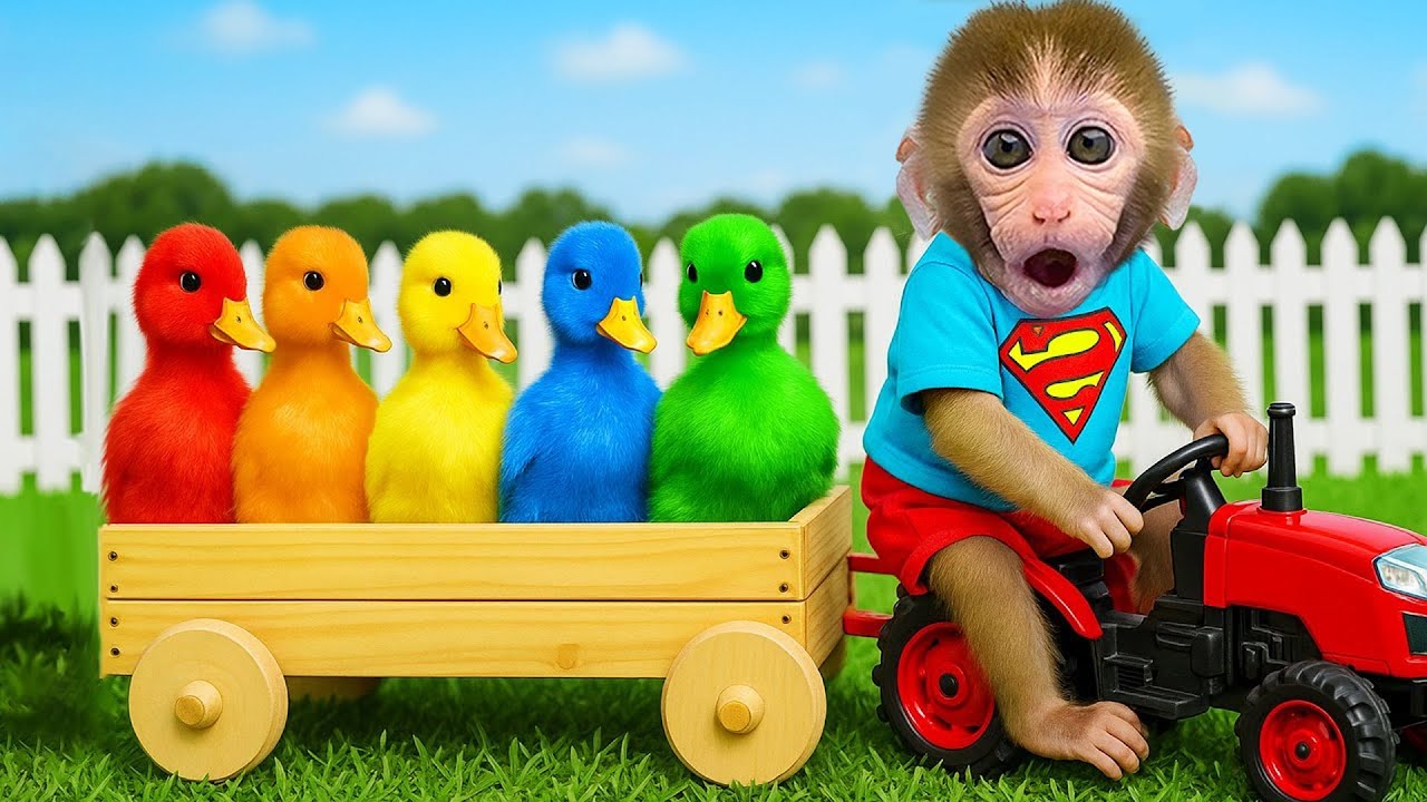 小猴子 Gogo 被彩虹小鴨嚇到了🦆🌈| Gogo Monkey Life