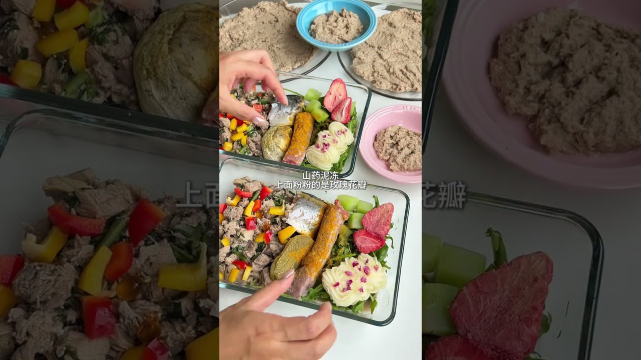 好喜欢给小猫小狗做饭 #熟自制  #宠物配餐  #沉浸式宠物配餐