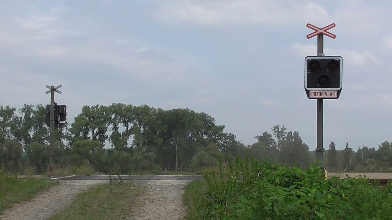 Železniční Přejezd Lhota u Opavy #3 [26/7 2024]