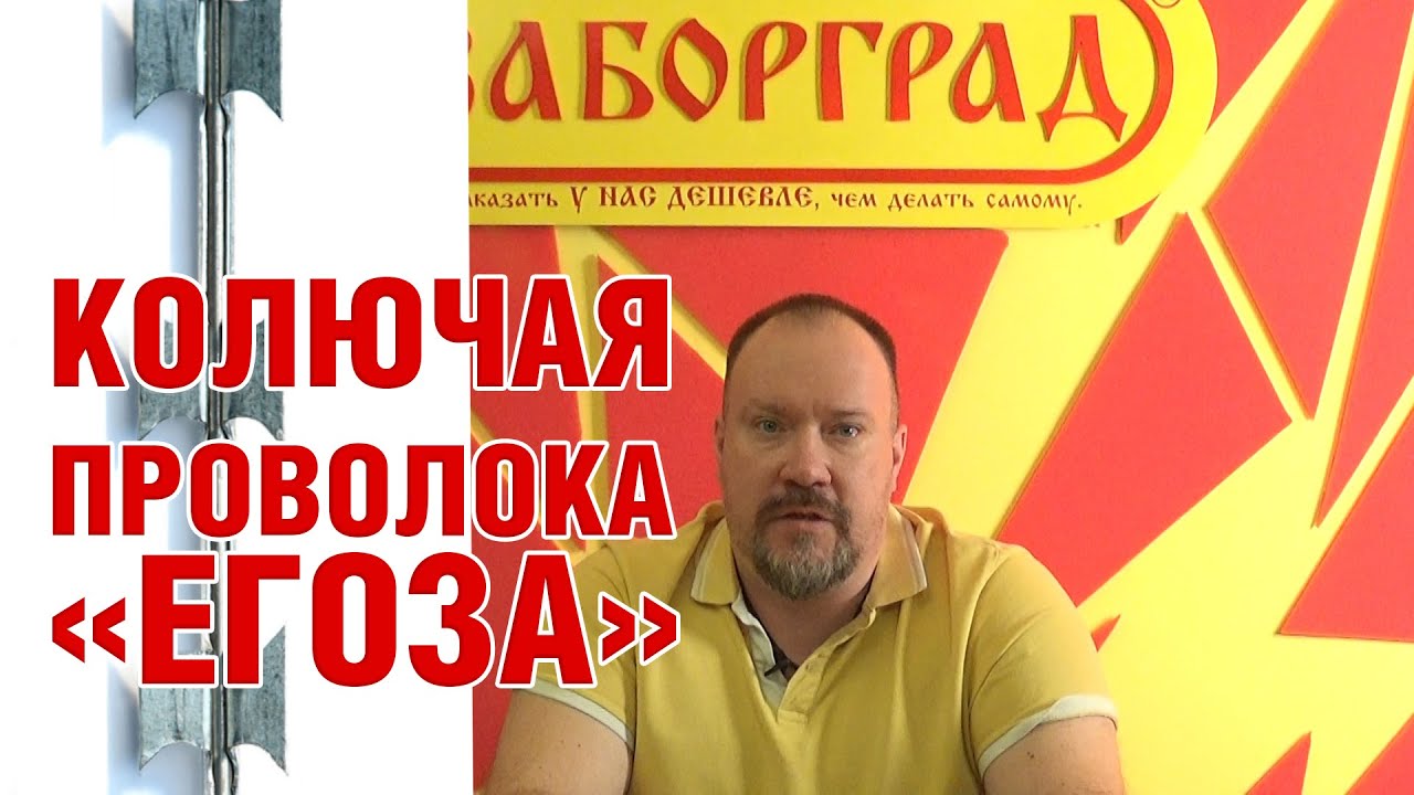 Колючая проволока егоза
