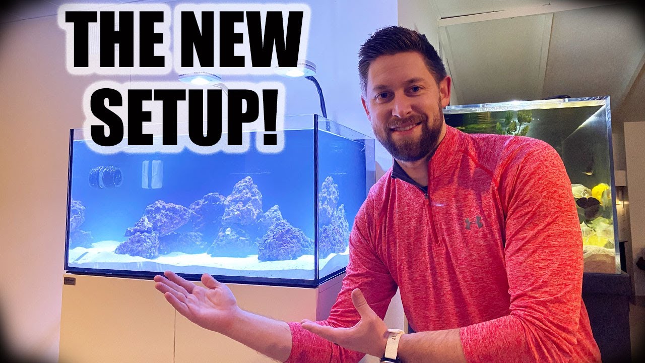 MY FIRST SALTWATER TANK! | Setting up the 48 Gallon Fiji Cube