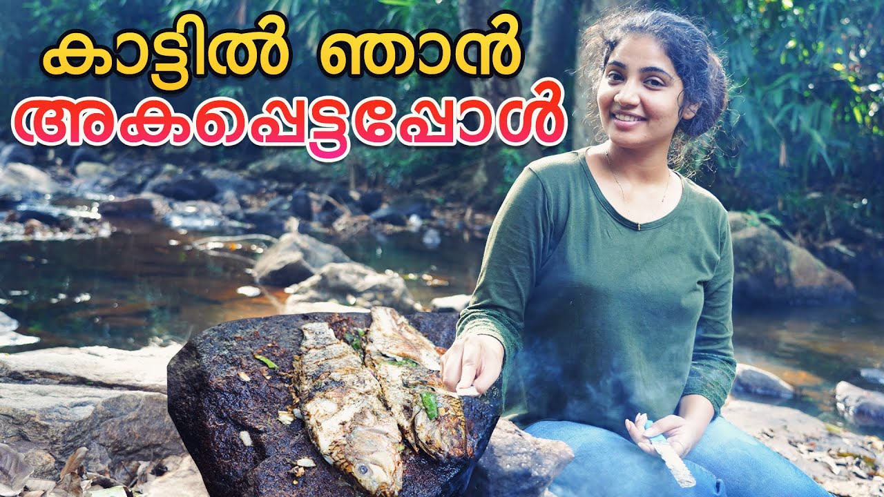 കൊടുംകാട്ടിൽ ഒറ്റക്ക് അകപ്പെട്ട ഞാൻ | Forest Survival Vlog | Cooking Fish In Forest | Anshitha Anji