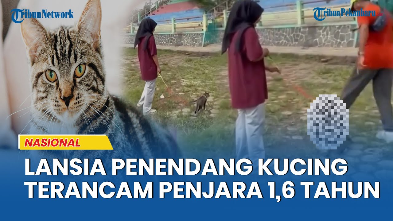 Polisi Gercep Ungkap Pelaku Penendang Kucing: Pensiunan Pemkab Blora, Sudah Lansia