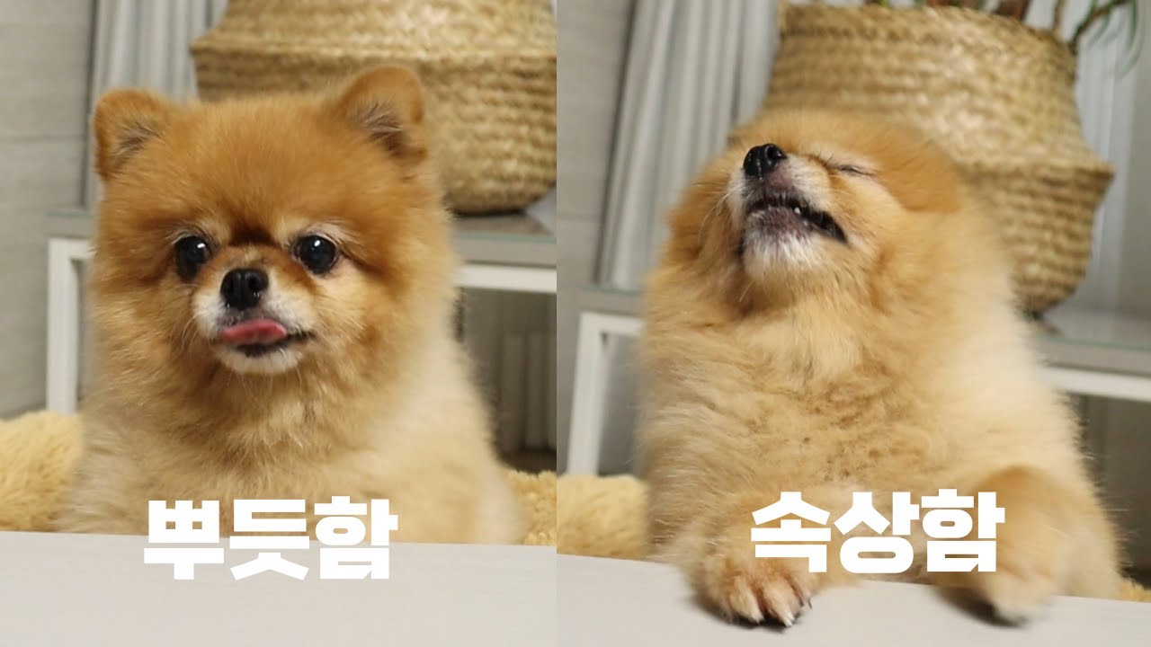 가족 입장에서 뿌듯함과 속상함이 몰려오는 순간