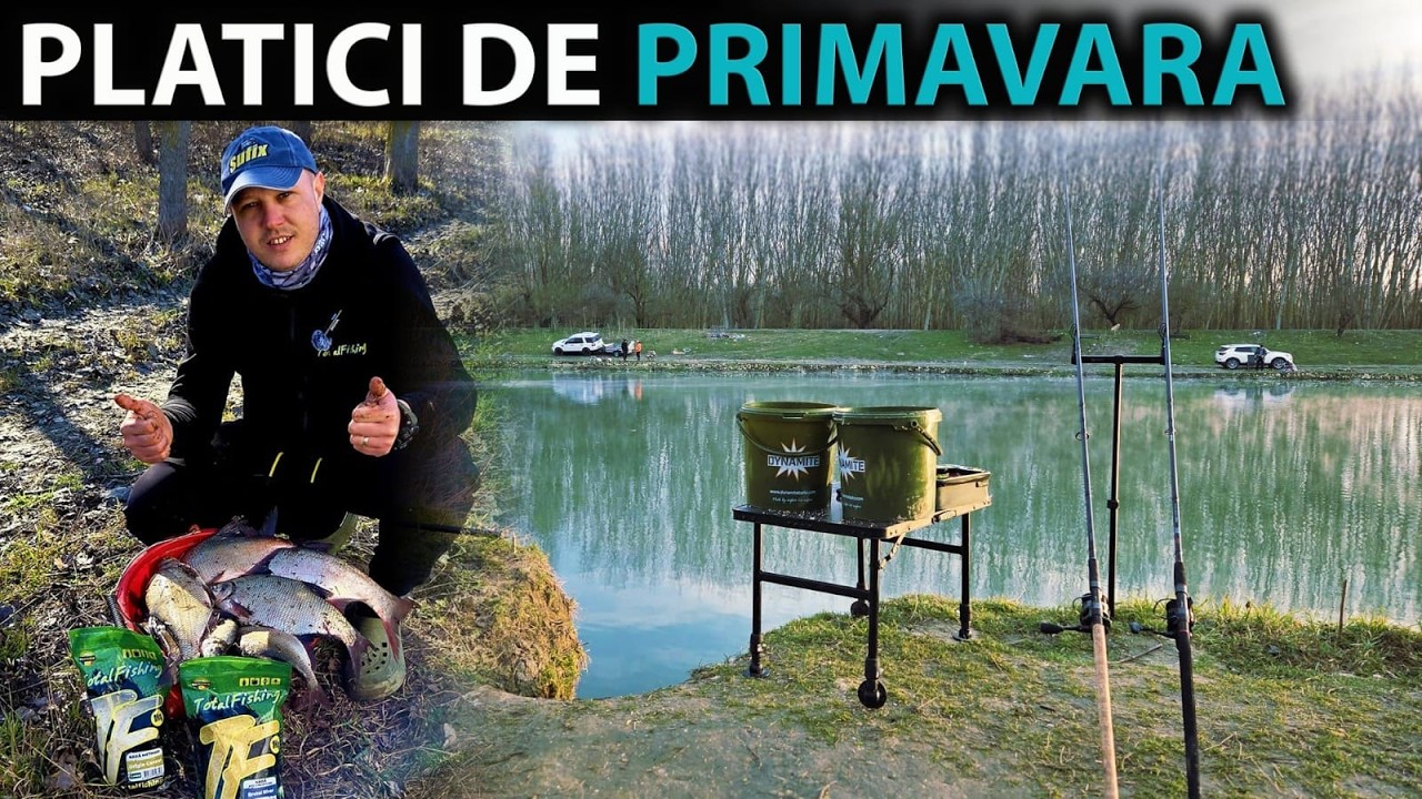 Platici mari la inceput de primavara!