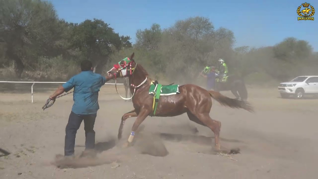 El junior vs el bolis