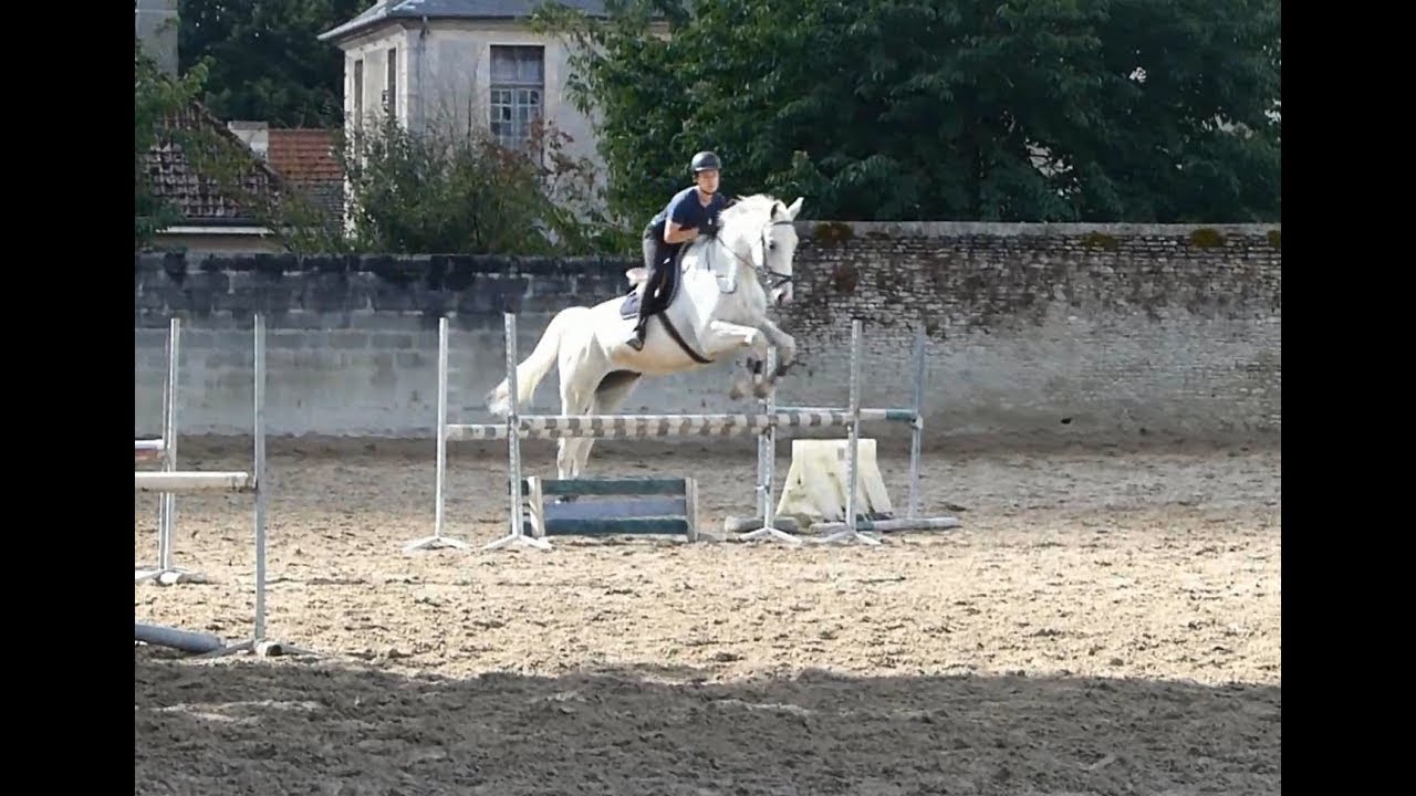 [Examen du galop 6] Th&eacute;o avec Ticket et Bel'star