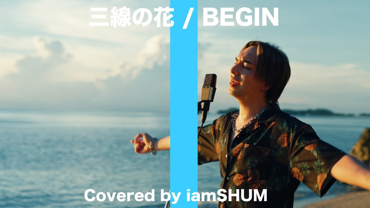 🎵三線の花 / BEGIN( Covered by 