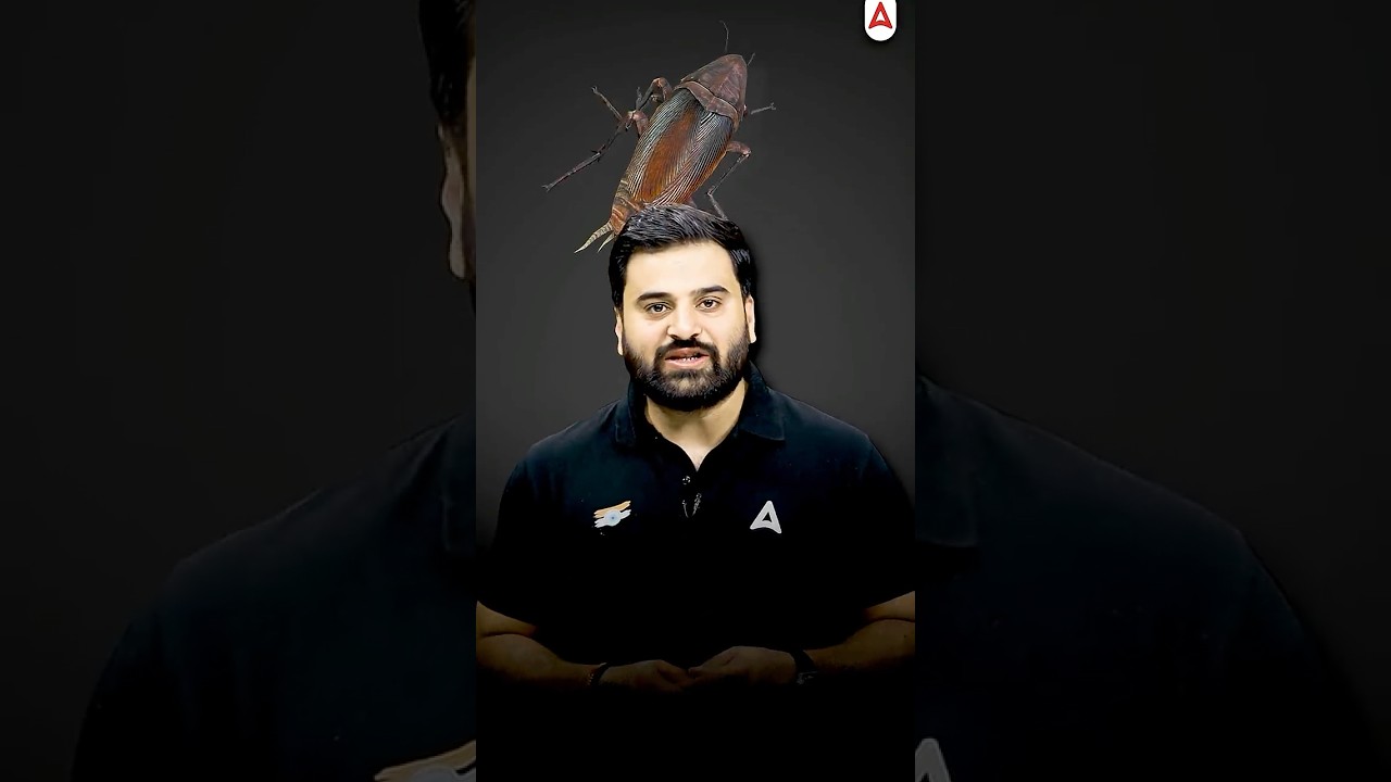 Cockroach Janata Party Delhi Protest #cokroachjanataparty #cjp #cjpdelhi #abhijeetdepke