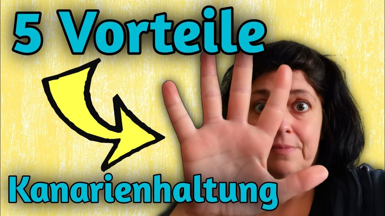 5 EINMALIGE Vorteile in der Kanarienhaltung [+Bonus Tipp]