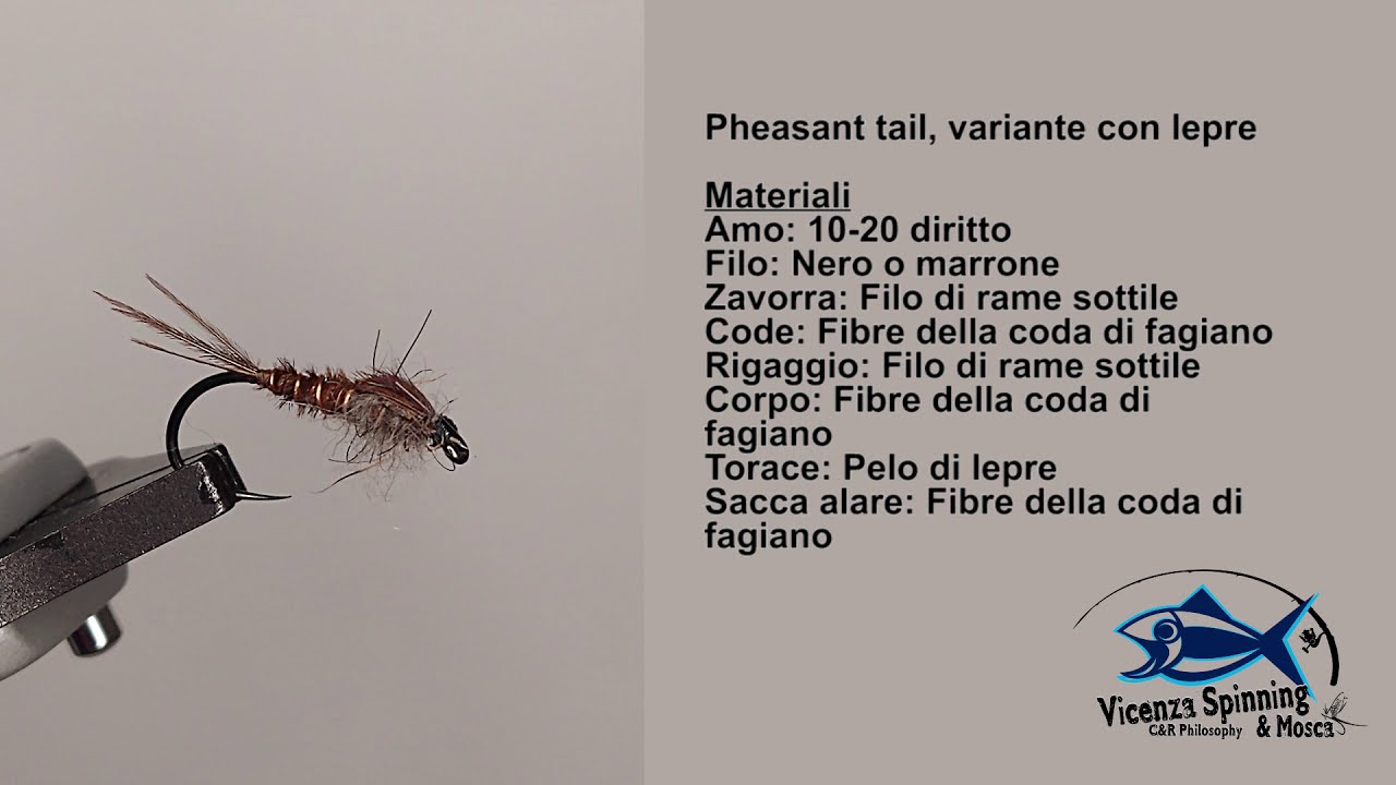 La pheasant tail, variante con lepre