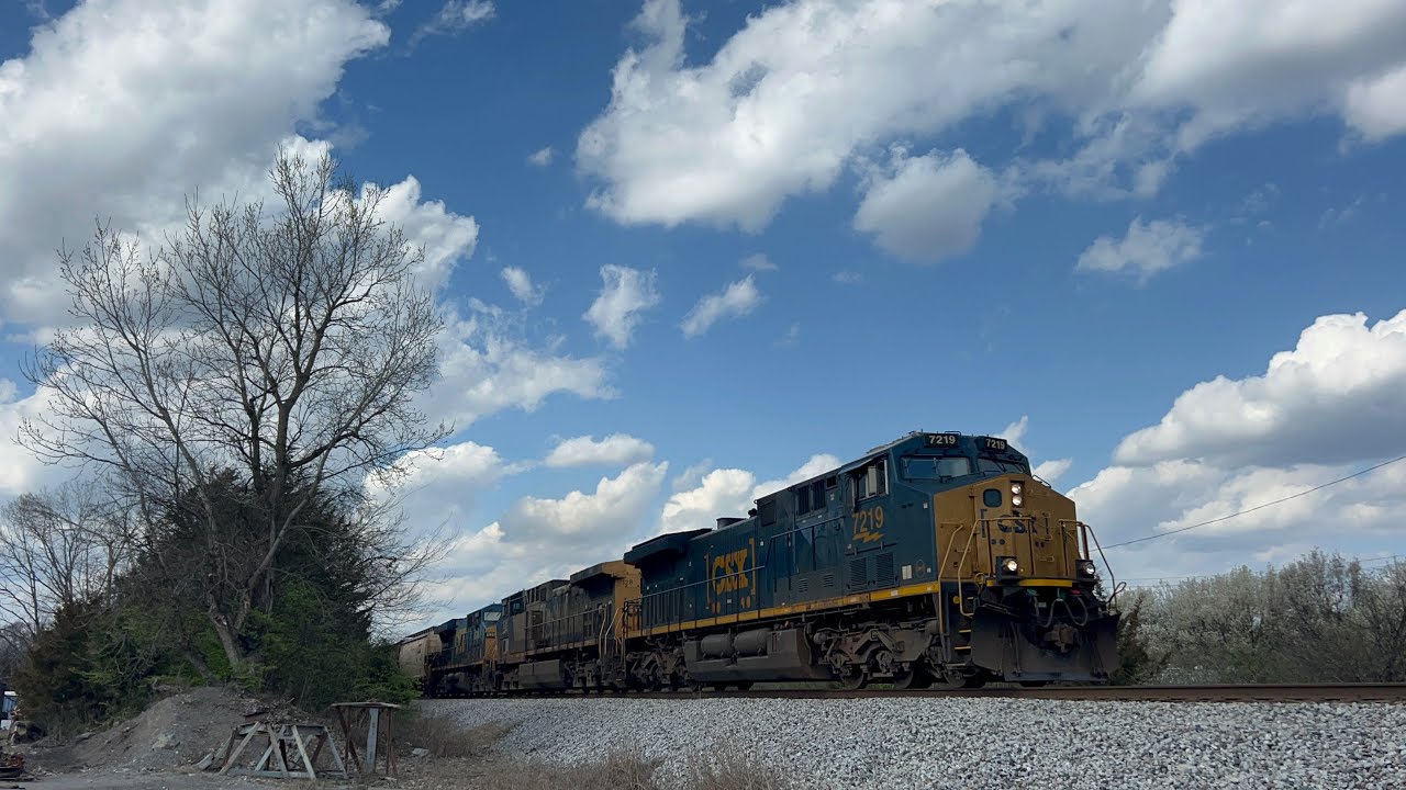 CSX CM44AC 7219 w/ Nice K5H Leads Grain Express G437-12 on 3/13/24