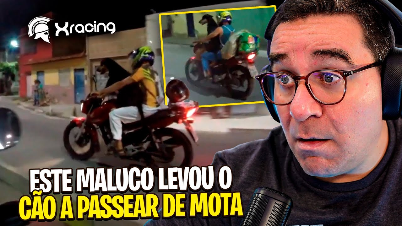 UM CÃO A ANDAR DE MOTA! RIC REAGE a XRacing Videos