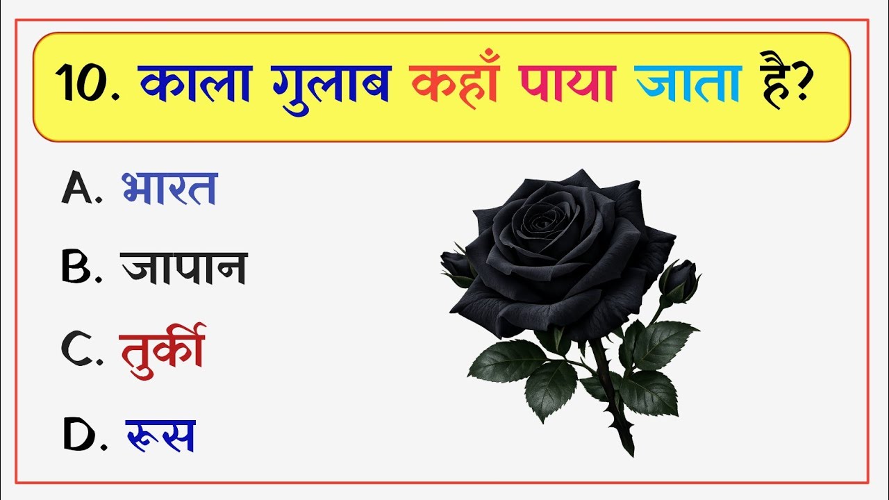 Gk Questions Answers || Gk Quiz Video || Gk || General Knowledge || Gk In Hindi || SSC CGL GK ||UPSC
