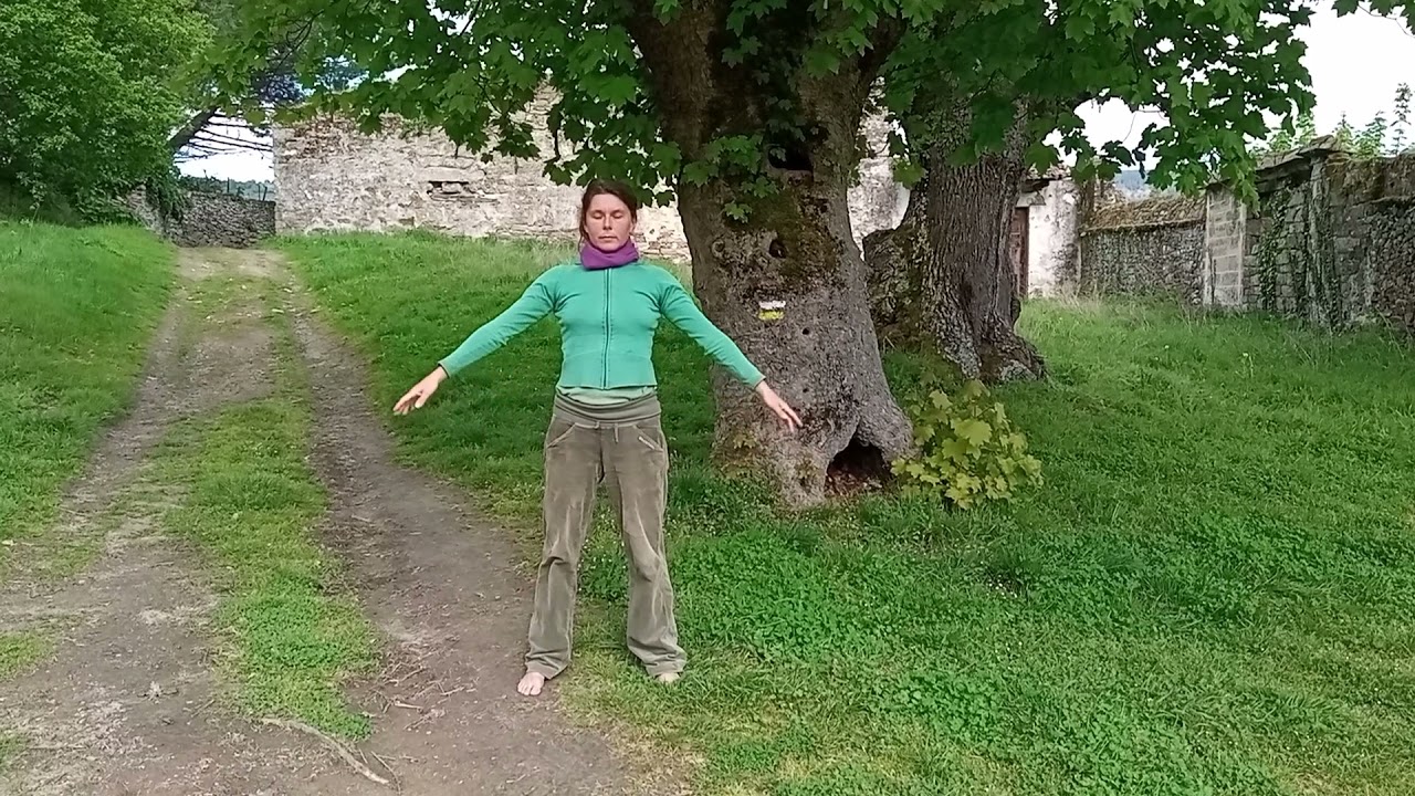 WYDA, Yoga of the Druids