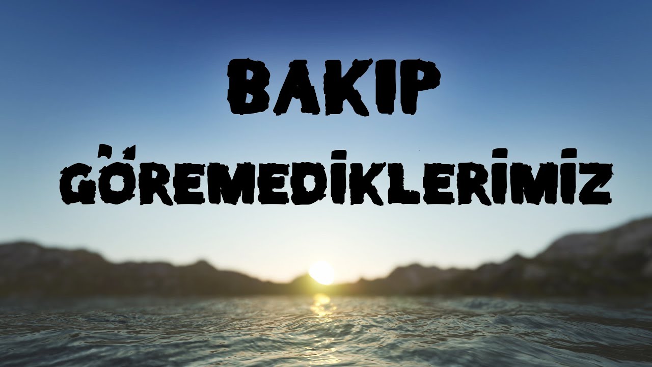 Bakıp g&ouml;remediklerimiz !
