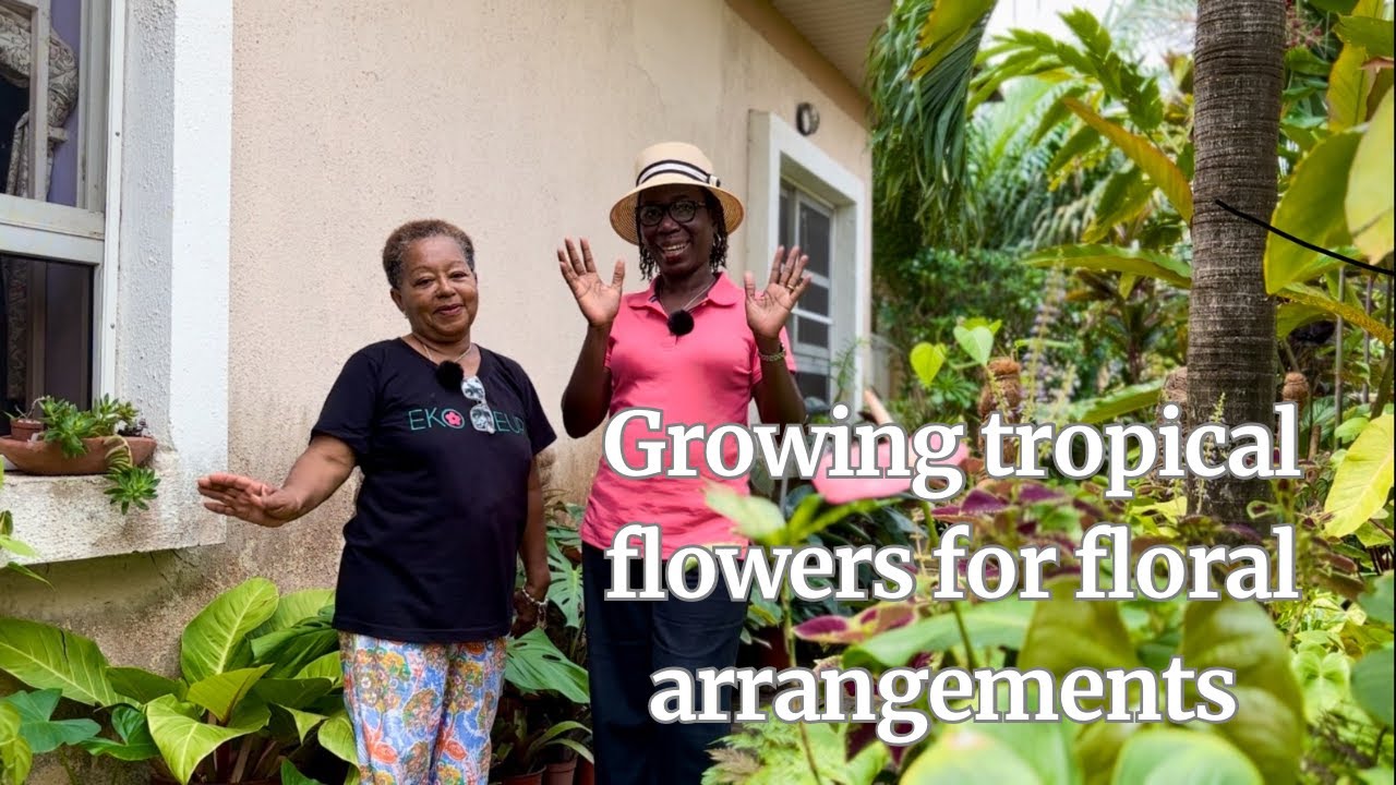 From garden to vase: Growing tropical flowers for stunning floral arrangements