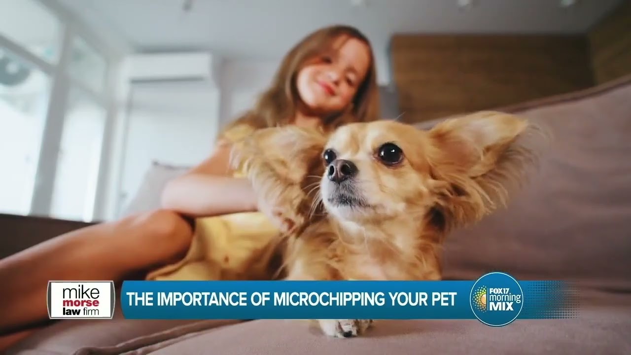 Mike Morse Pet Tips:  Microchipping | Sponsored