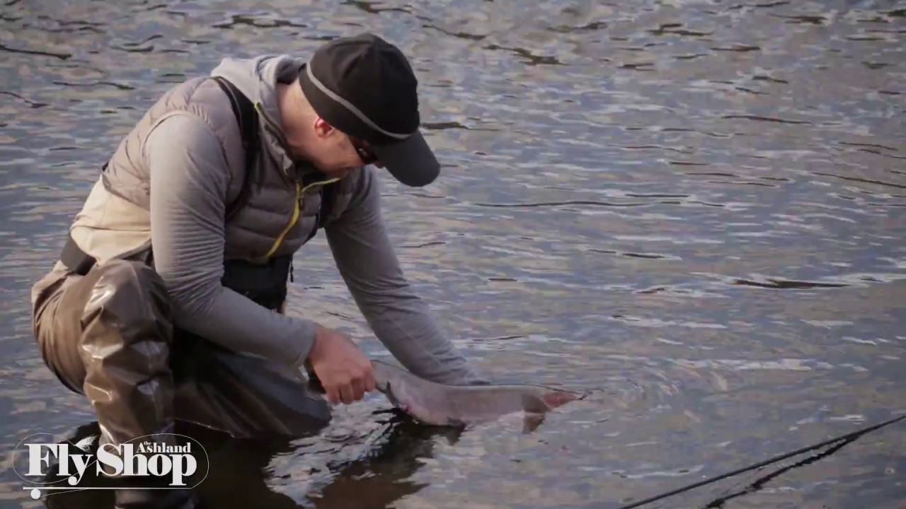 Steelhead Fly Fishing the State of Jefferson | Ashland Fly Shop