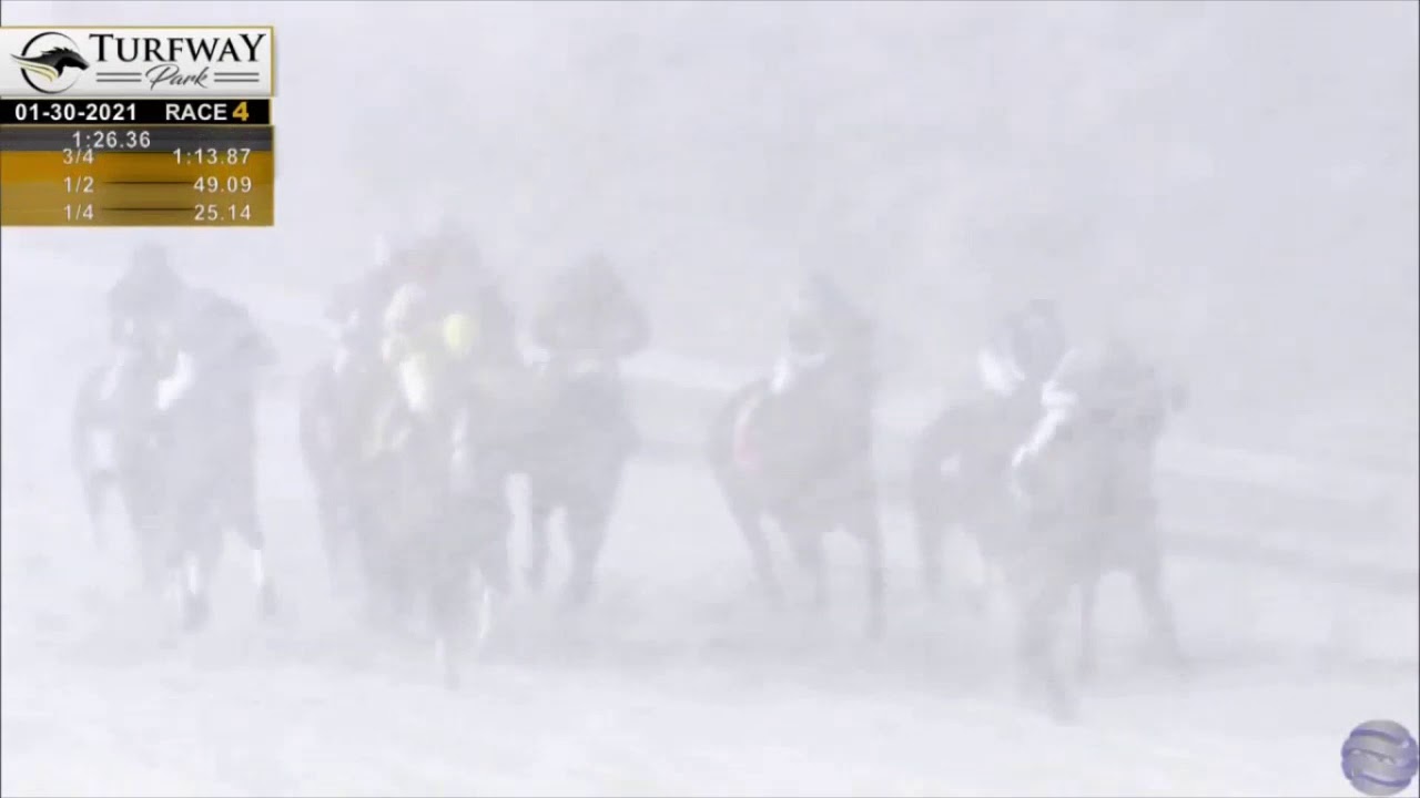 Thoroughbreds Dashing Through The Snow At Turfway Park - Jan. 30, 2021