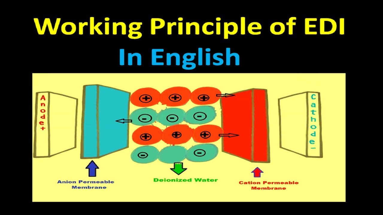 [ English ] How EDI works ? EDI working Principle