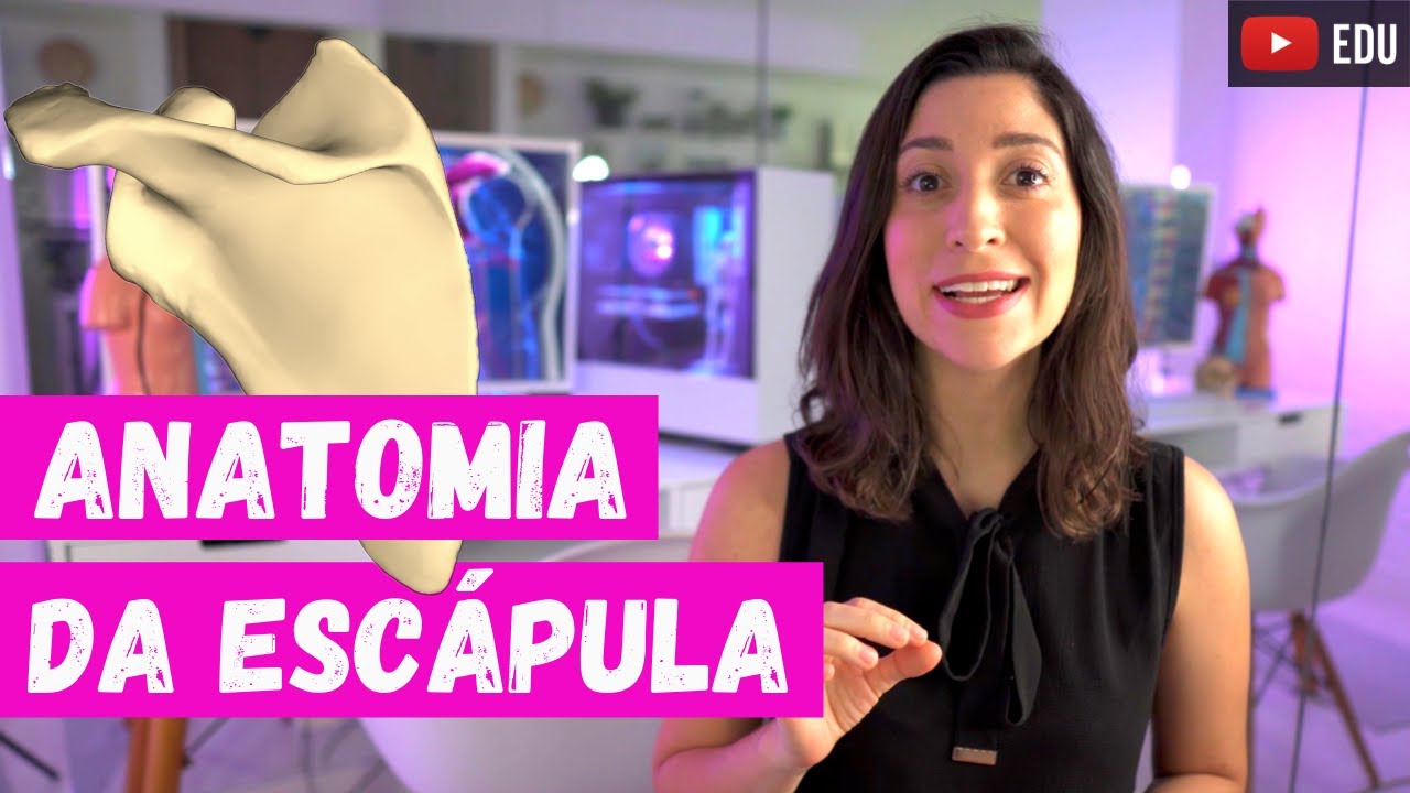 ANATOMIA da ESCÁPULA: Acidentes ósseos e inserções musculares
