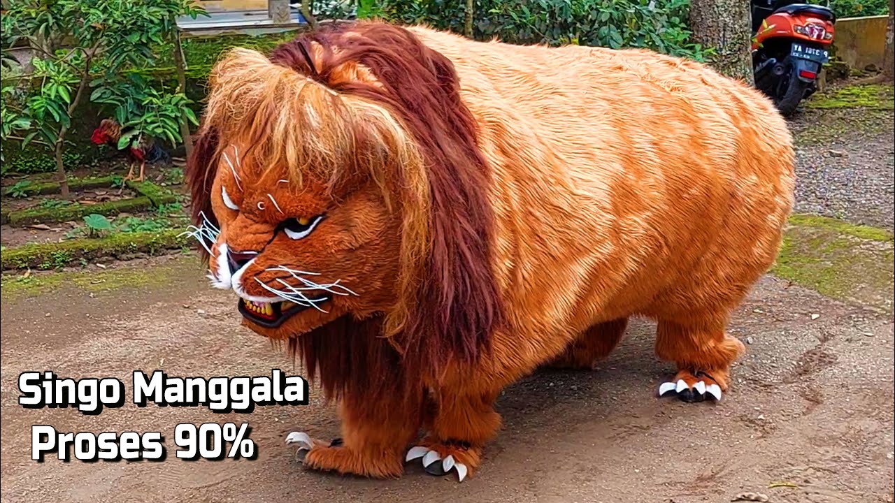 PERCOBAAN SINGO MANGGALA | SINGA TERBESAR DI DUNIA | The World's Largest Lion Trial | CAN MACANAN