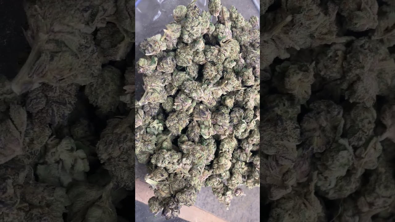 Wholesale THCa Flower: Modified Grapes