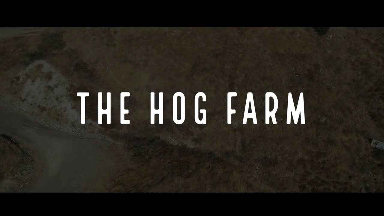 The Hog Farm Documentary
