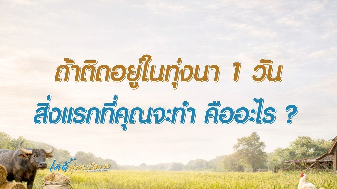 VOX POP เลดี้ทุ่งกระบือบาล : ถ้าติดอยู่ในทุ่งนา 1 วัน สิ่งแรกที่คุณจะทำ คืออะไร?