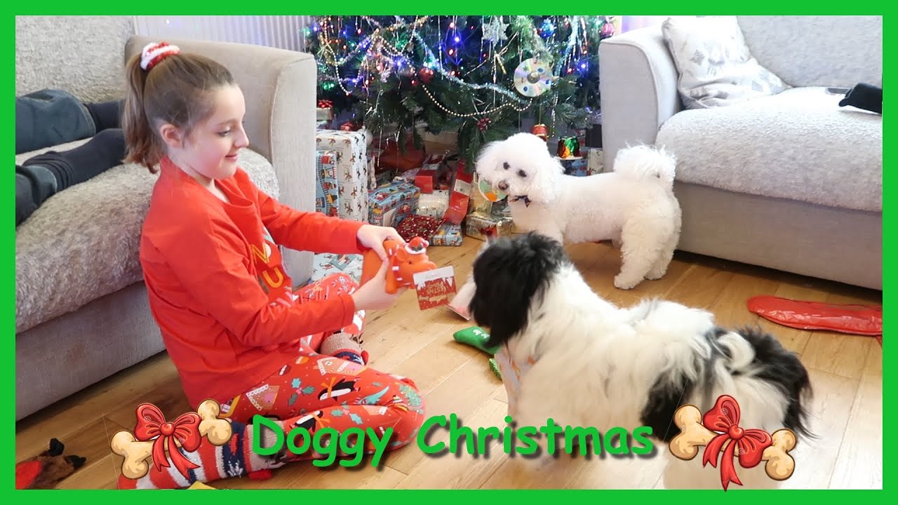 A DOGGY CHRISTMAS| MY DOGS ON CHRISTMAS DAY