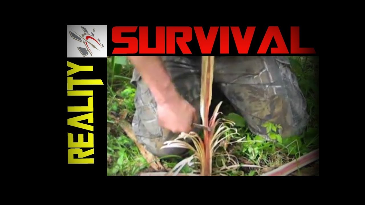 How to Make Feather Sticks for Fire Starting | Bushcraft Survival