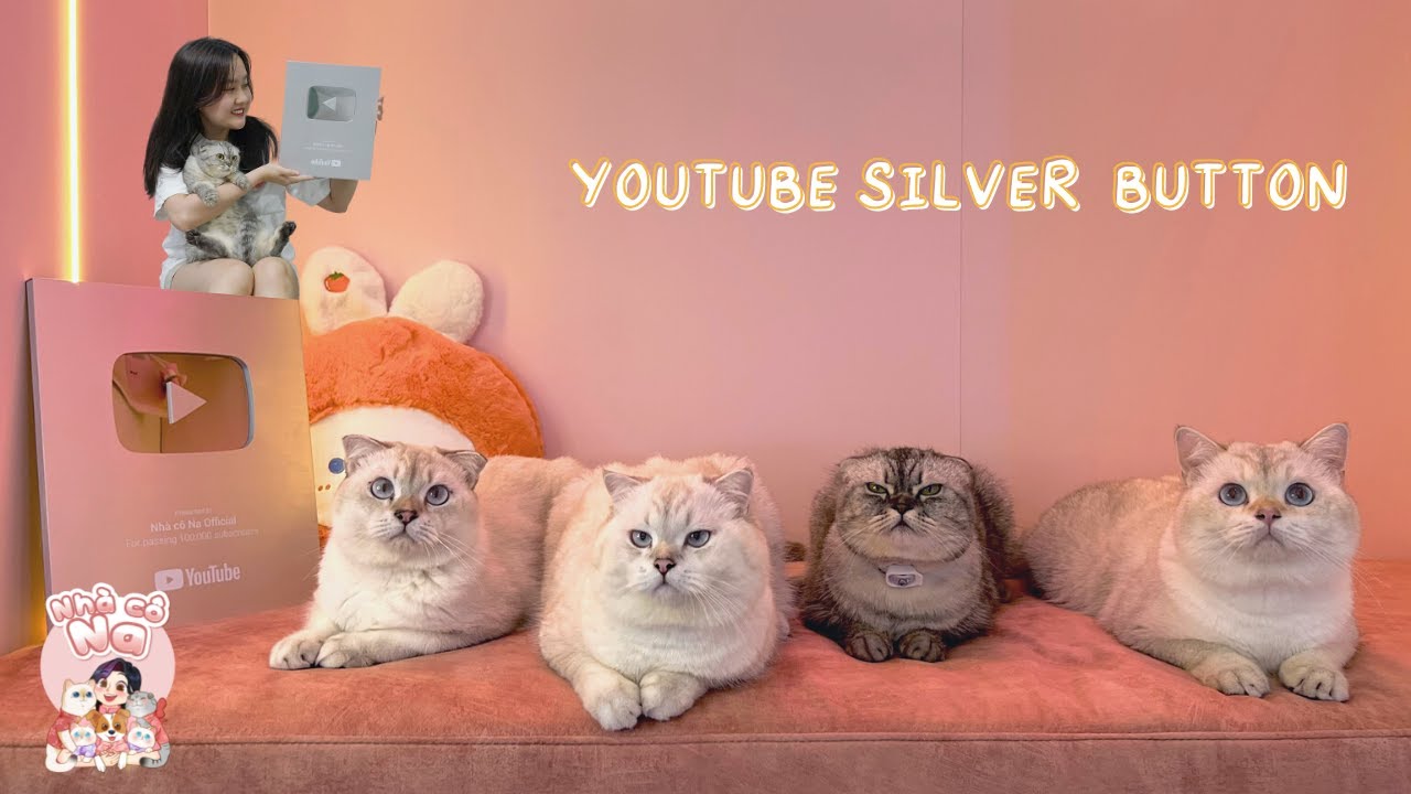 Congratulations on 100K Subs - Unboxing the YOUTUBE SILVER BUTTON | Na's House #18