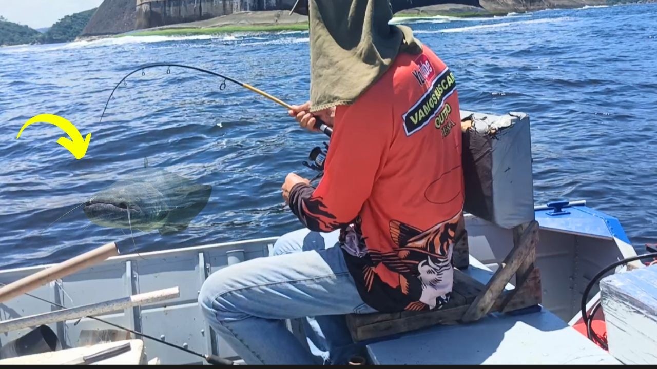 PESCA RAIZ MUITO PEIXE E LULA BAHIA DE GUANABARA #fishing #pescaria #pesca