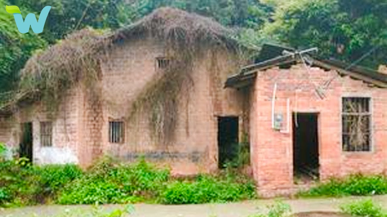 The poor boy renovated an old house with the abandoned fish pond in the countryside