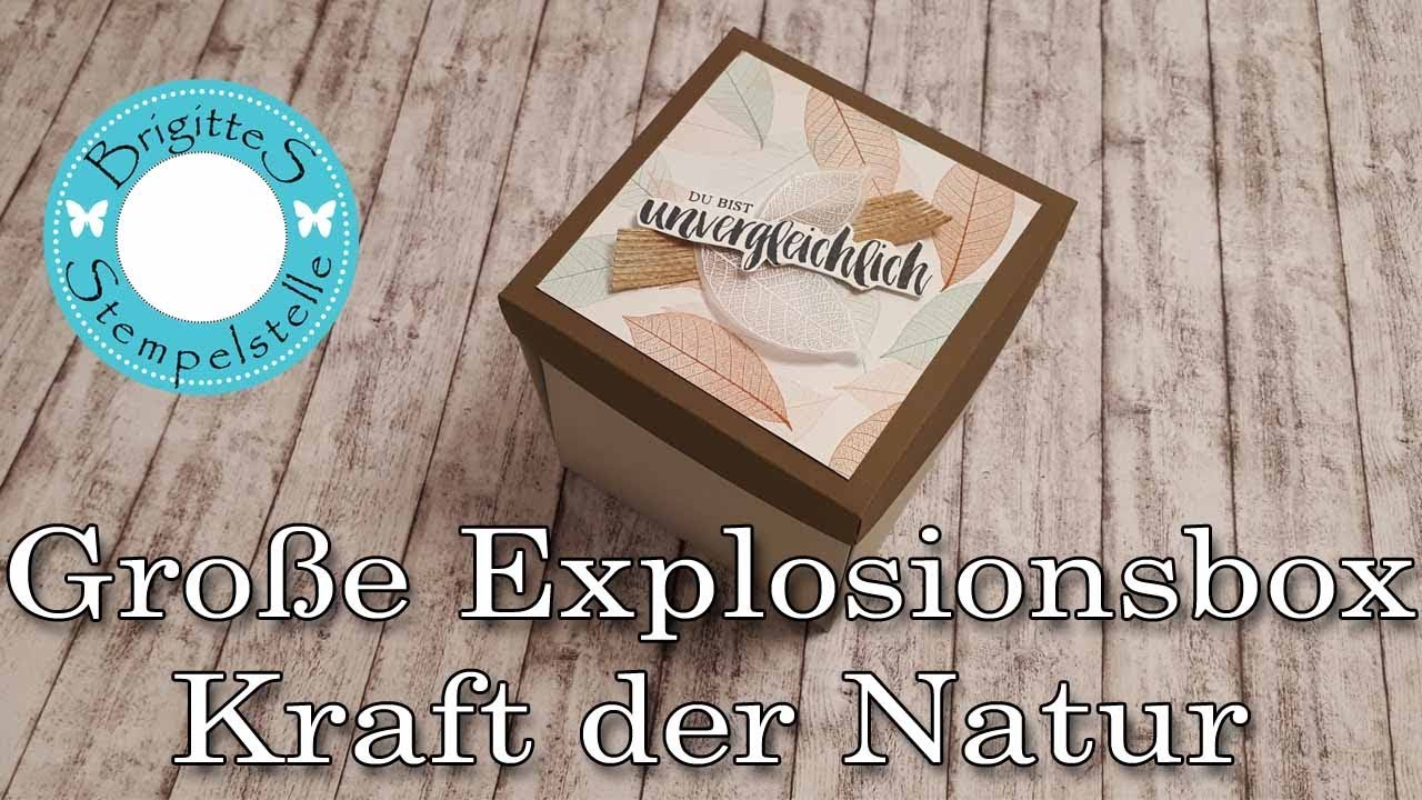Große Explosionsbox Kraft der Natur Stampin Up!