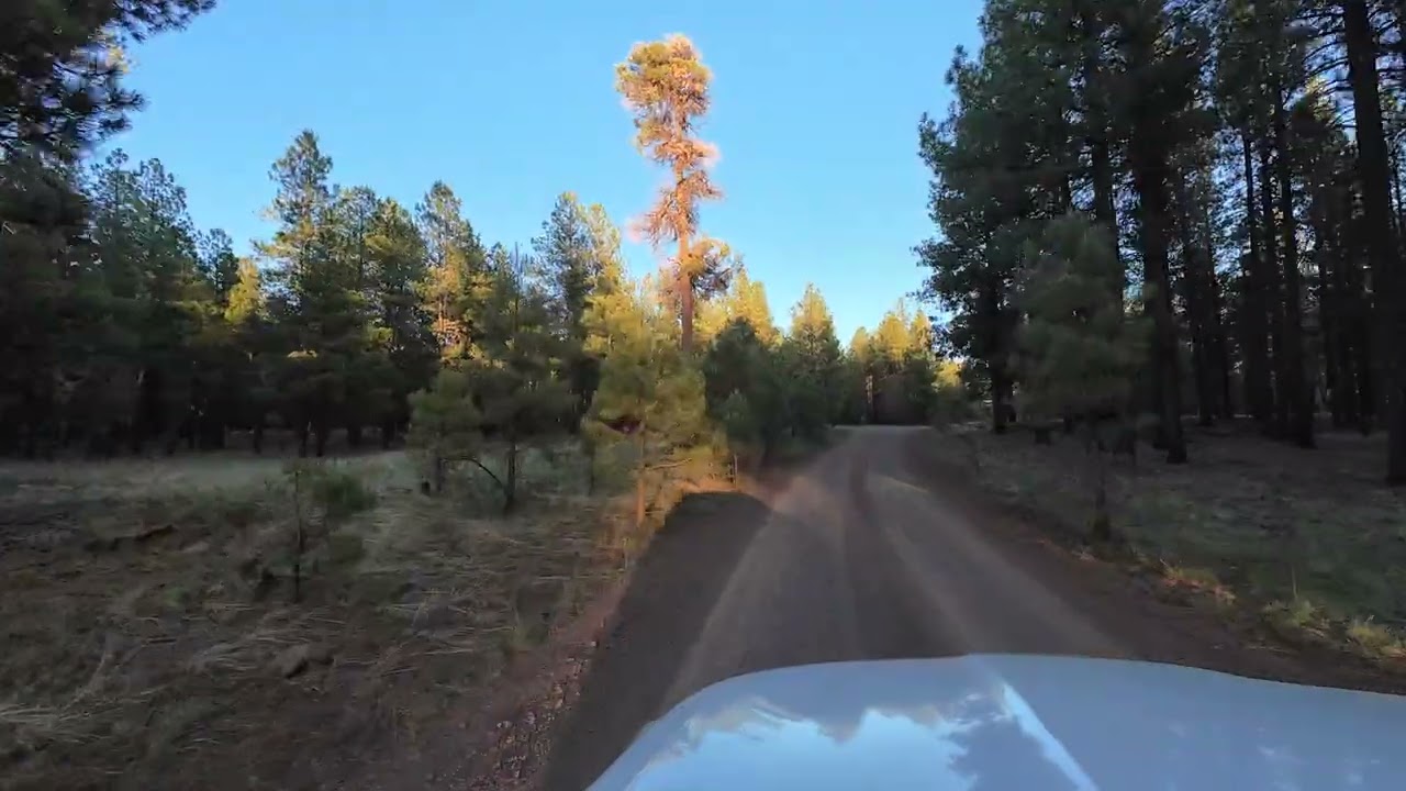 Bellemont Back Roads 6-21-25