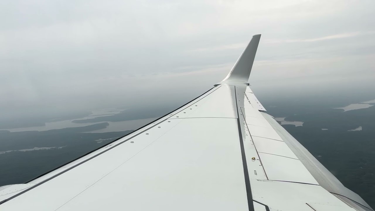 American Airlines 737-823 landing at Raleigh Durham [N858NN]