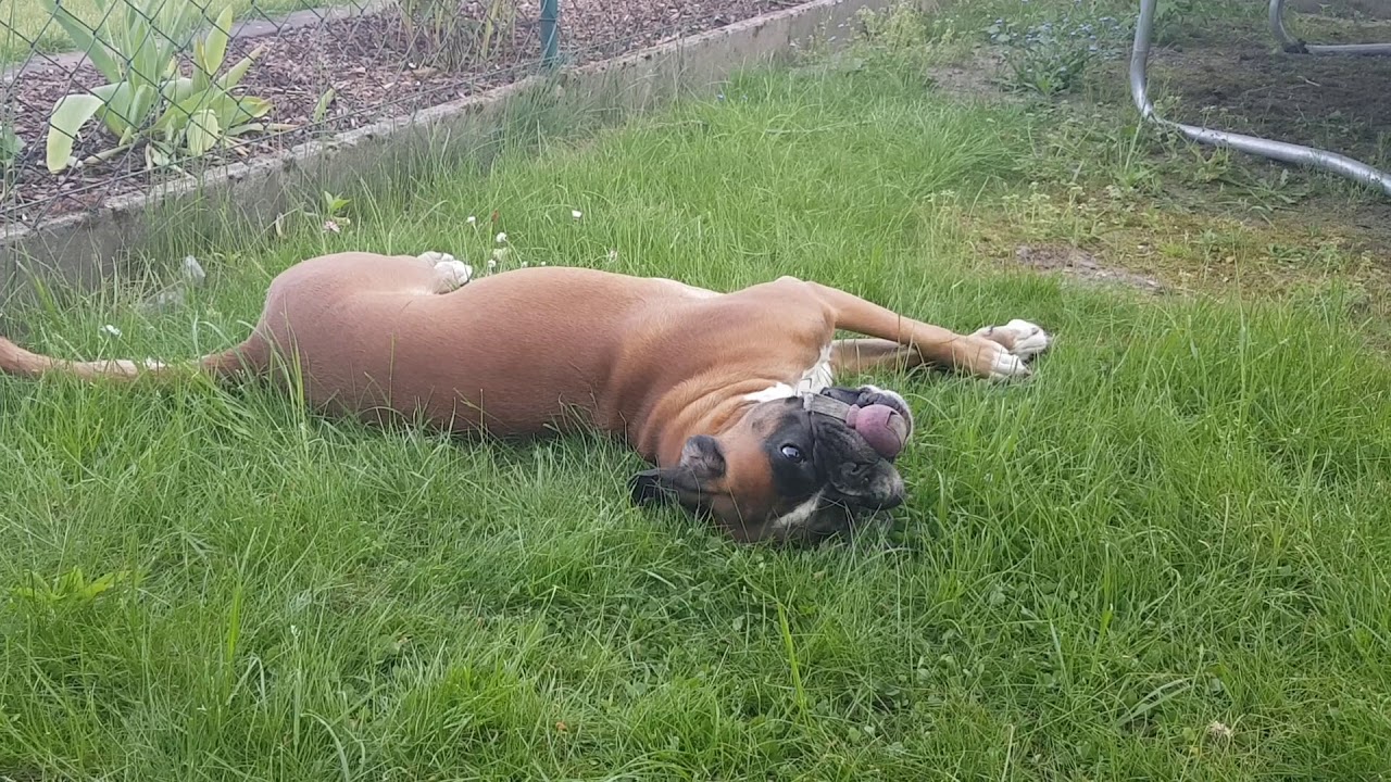 Der Frühling ist da!