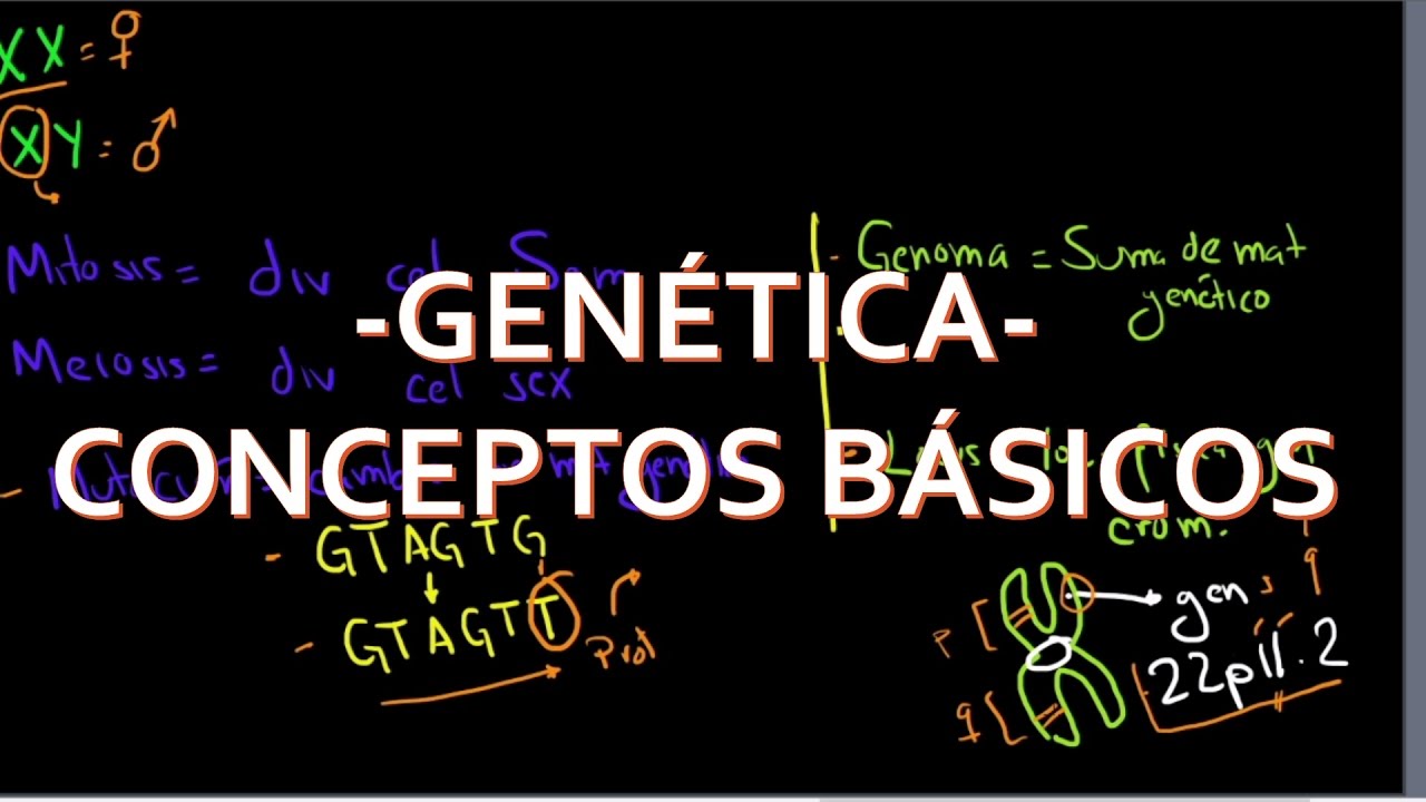 Genética: Conceptos básicos
