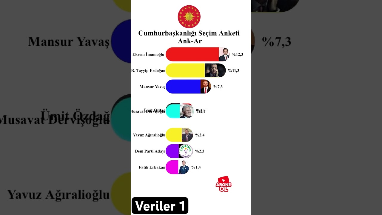 Cumhurbaşkanlığı Se&ccedil;im Anketi   Ank-Ar Şubat 2025