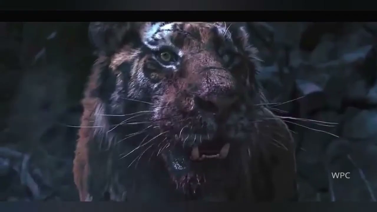 Tiger and Lion Roar   The most badass roar in the movies